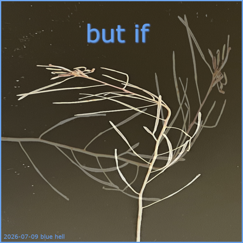 but if